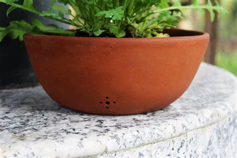 Beautiful Wide Bowl Planter Pot with Drainage - Perfect for Flower Lovers and Indoor Decor. . Shallow terracotta planter